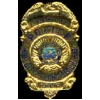 LONG BEACH, CA POLICE DEPARTMENT LIEUTENANT BADGE PIN